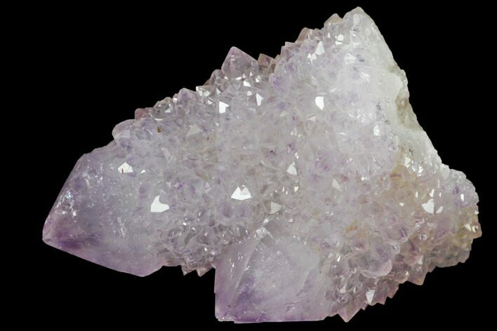 Cactus Quartz (Amethyst) Crystal Cluster - South Africa #132467